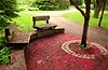 peaceful haven