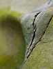 shoreline erosion