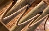 cordage