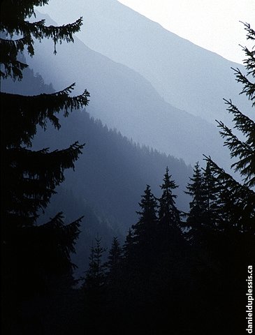 Austrian Alps