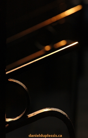 Late afternoon sunlight