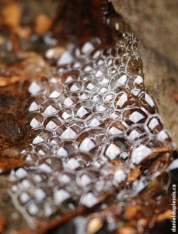 Spring Thaw