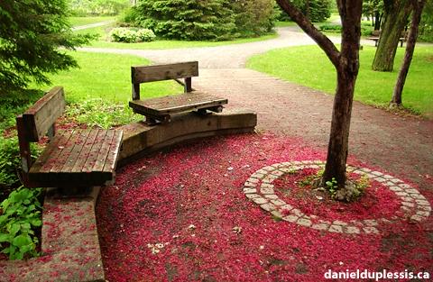 peaceful haven