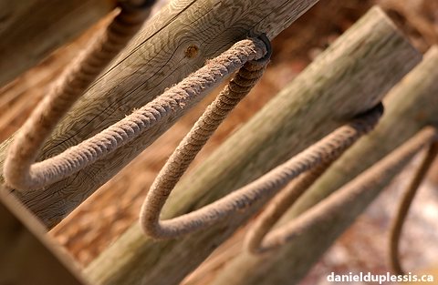 cordage